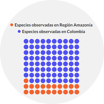 Número de especies observadas en la Amazonía Colombiana vs Colombia