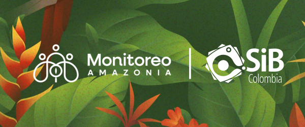 Monitoreo Amazonía y Sib Colombia